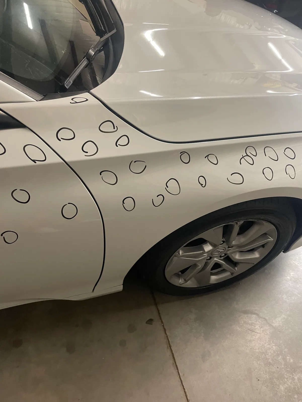 Moderate hail damage across a vehicle hood with clear dent pattern