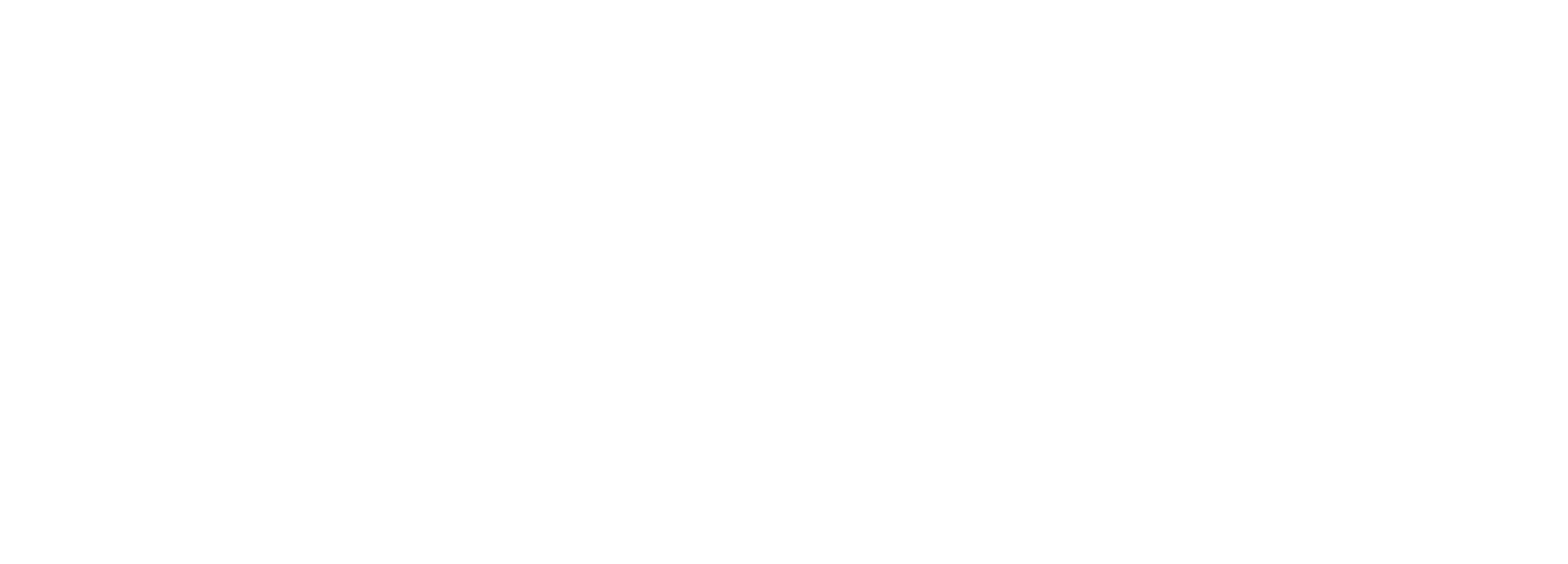 Hail Solutions logo